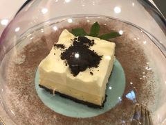 -飞行喵MR PILOT|猫舍·猫咖(静安大融城店)