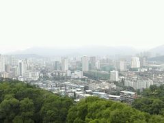 -金鸡山公园