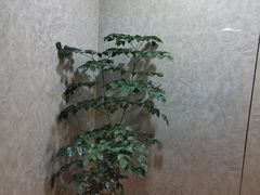 -宸玥酒店(成都西南财大地铁站店)