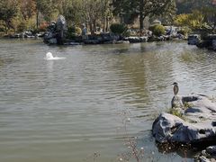 -狼山风景名胜区