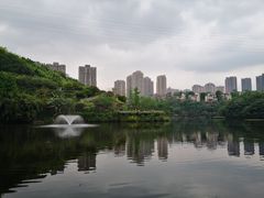 -重庆彩云湖湿地公园