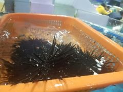 -清水湾3号(东方小周海鲜店)