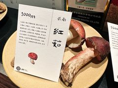 -滇野云南野生菌餐厅(陕西南路店)