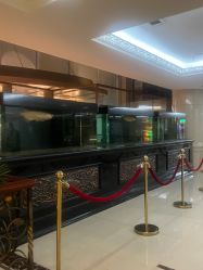 -Oasis Beauty水磨坊科技美肤中心