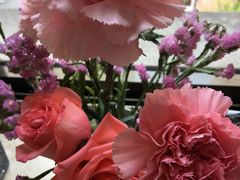 -红宝石·鲜奶小方(万航店)