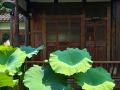 -莫催咖啡