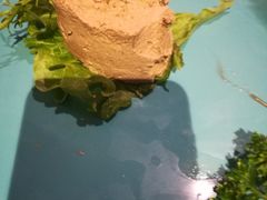 -通海俄式烧烤(下瓦房店)