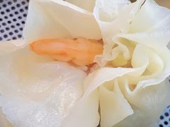 镇店鲜虾烧麦-晓友烧麦(光华村店)