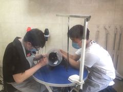 -酷宠动物医院(天通西苑店)