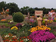-北京十三陵国家森林公园蟒山景区