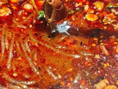 -牵人麻辣粉(粉巷店)