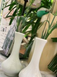 -艺米阳光Hair Salon