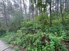 -帽儿山国家森林公园