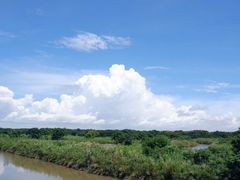 -大湾区中央湿地公园