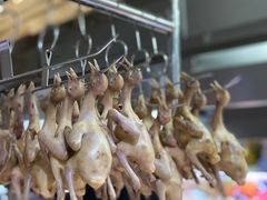 -石岐乳鸽村(南海第三分店)