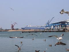 -海驴岛(荣成市)