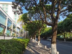 -白鹭洲公园