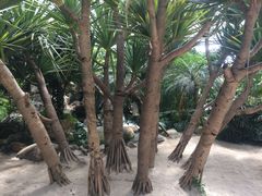 -南通洲际绿博园