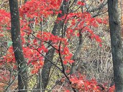 -三块石国家森林公园