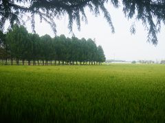 -嘉北郊野公园