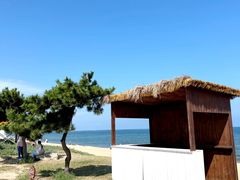 -巧克力渔家.小船海鲜家常菜(万平口店)