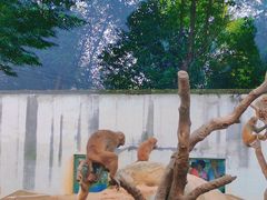 -武汉紫薇都市田园