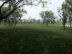 -盘龙城国家考古遗址公园