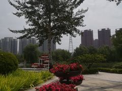 景点-立水桥公园