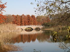 -虎丘湿地公园