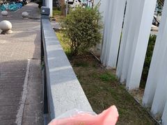 -金栗王(清扬路店)