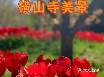 春暖花开的时节来横山寺观赏一圈还是      