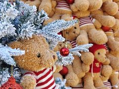 -HERRE·FARM 赫尔露营农场·团建聚会包场