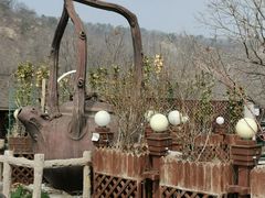 -怪坡茶馆