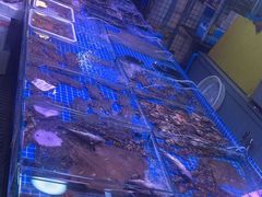 -桃源市场(解放路店)