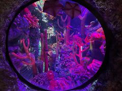 -沈阳海洋探索中心