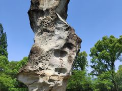 -柯岩风景区