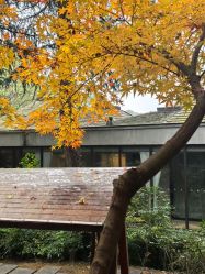 -尚圣月子会所·庄园式月子中心(萧山湘湖店)
