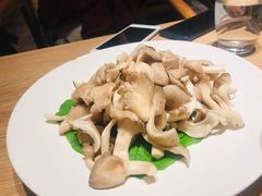 -觅唐MITONG(鸟巢店)