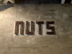 -坚果NUTS
