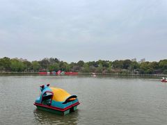 -南汇桃花村