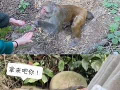 -黔灵山公园