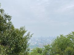 -大蜀山国家森林公园