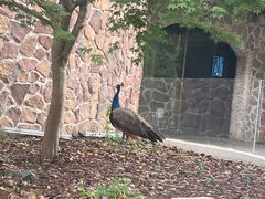 -J Create城市露营咖啡·简餐·宠物(上海动物园店)