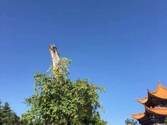 -崇圣寺三塔文化旅游区