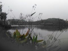 -枫香湖儿童公园