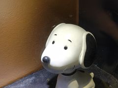 -史努比缤纷世界