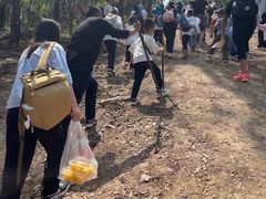 -青龙山国家森林公园