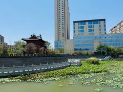 -东关回民小吃一条街(颍河西路店)