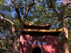 -普陀山风景名胜区-法雨禅寺