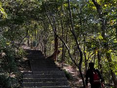 -紫金山山顶公园